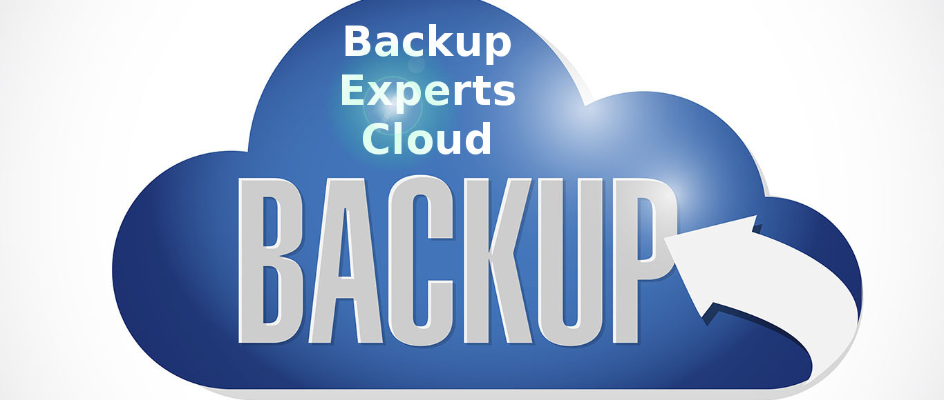 Invest in backup experts backup plan